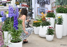 Natuurlijk werden er foto’s geschoten van de Sunseekers serie van All Plant.